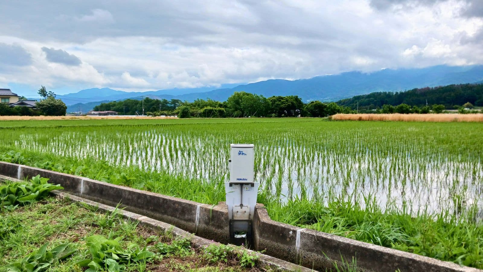 水管理には欠かせない存在