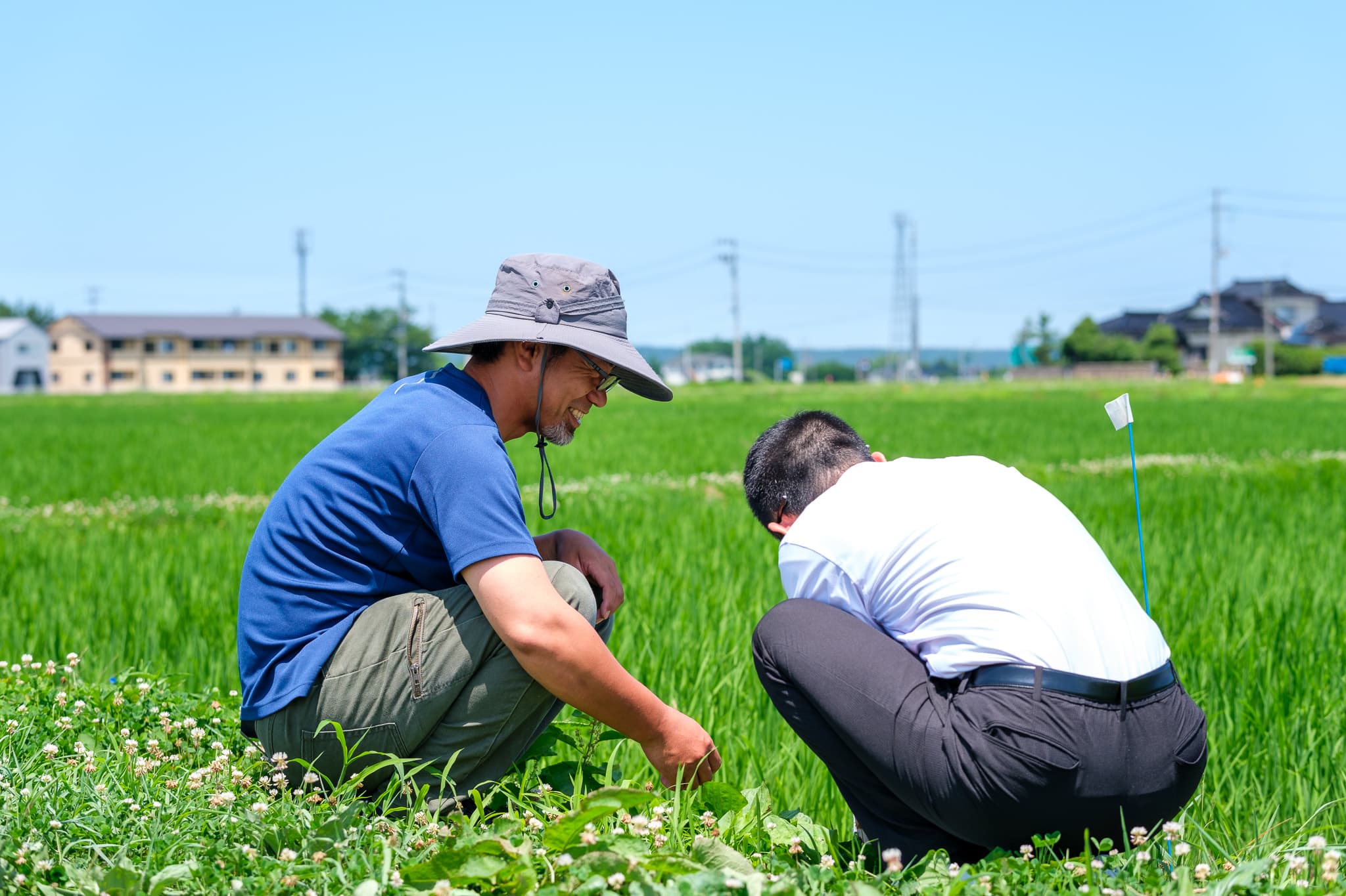 実りの前には、こうした丁寧な確認作業がある
日々是農好 vol.7::https://www.hokutsu.co.jp/agri/results/articles/20251126 - 人物