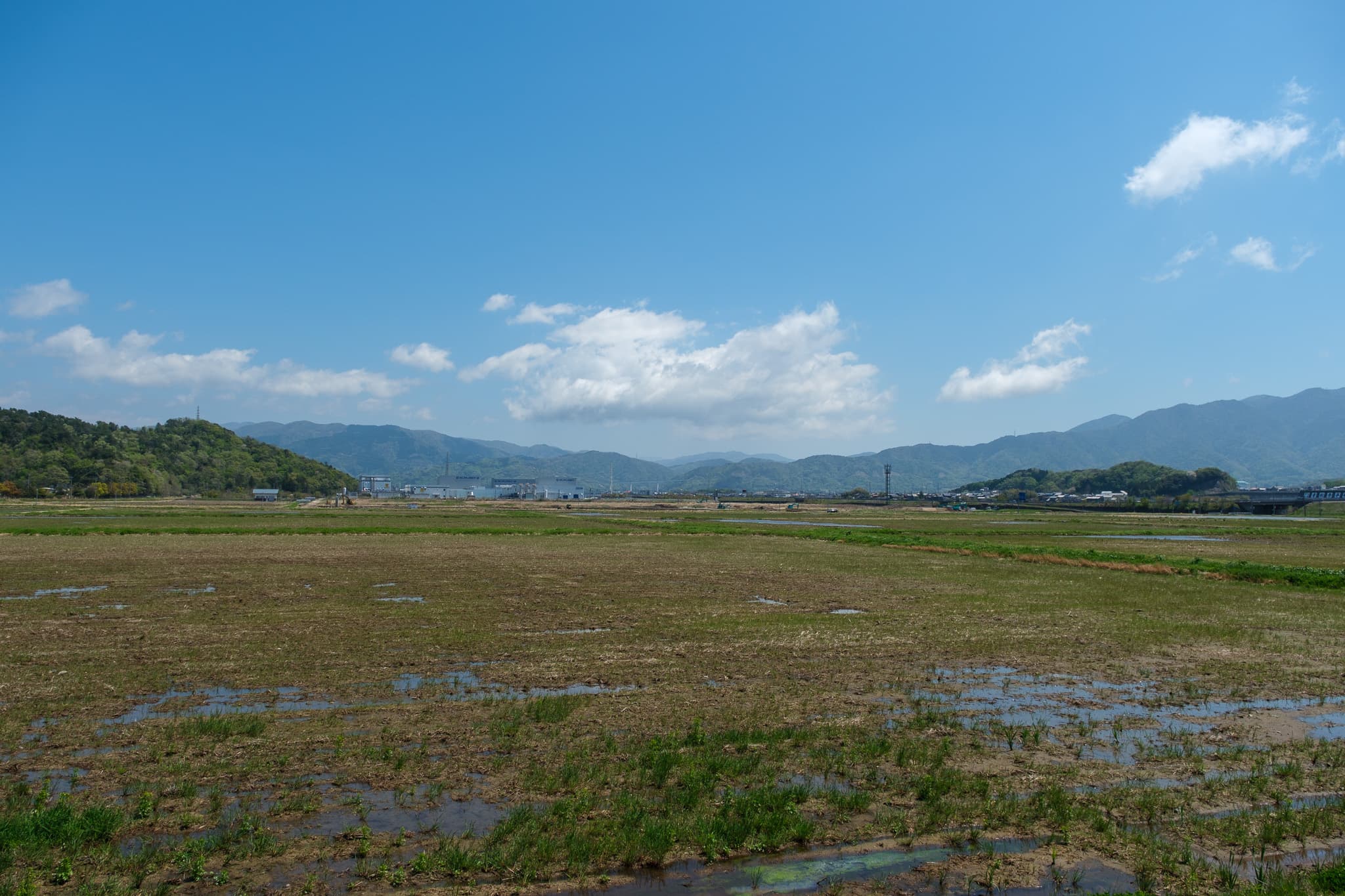 福井県敦賀西部地区に広がる、区画整理された農地 - 風景