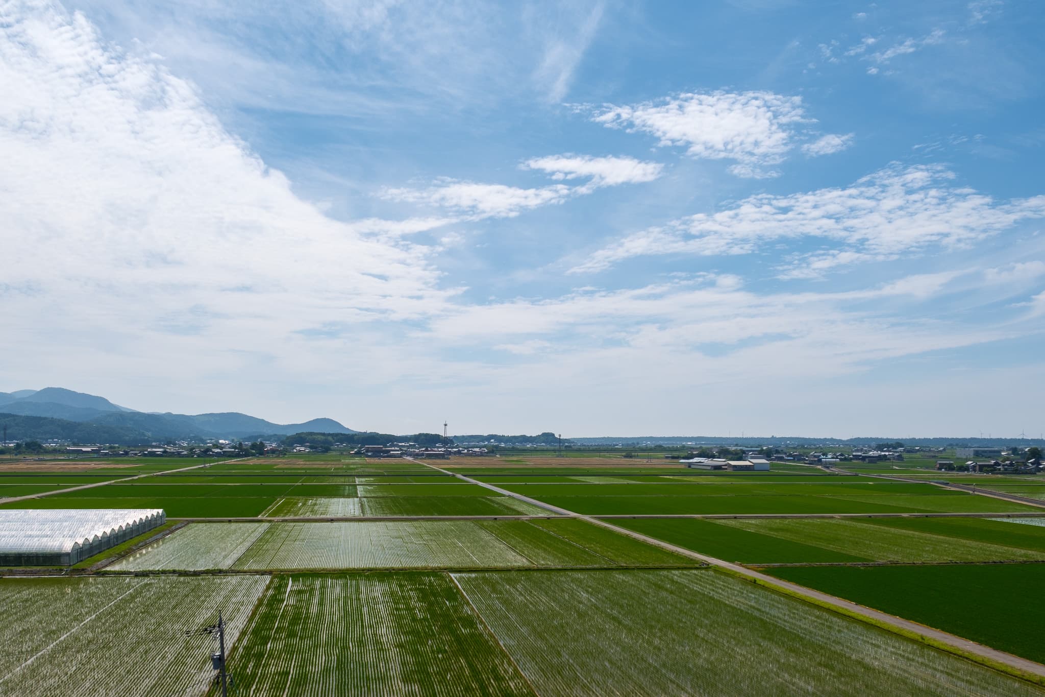見渡す先に広がる、福井県・坂井平野の豊かな農地 - 風景
