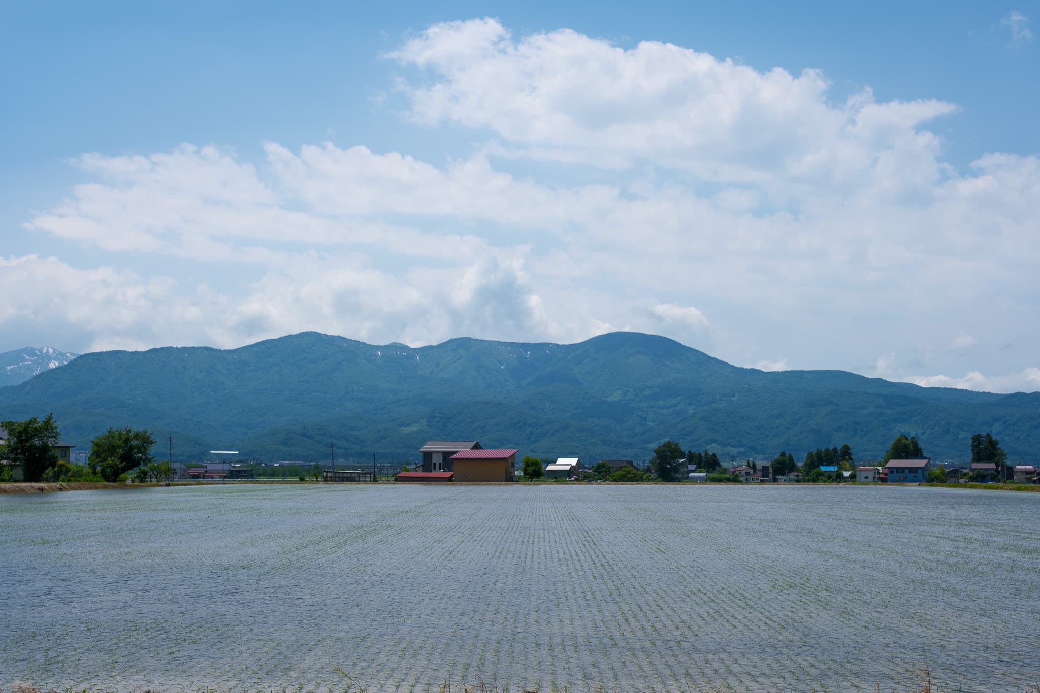 妙高山に見守られる、上越地方の大区画ほ場 - 風景