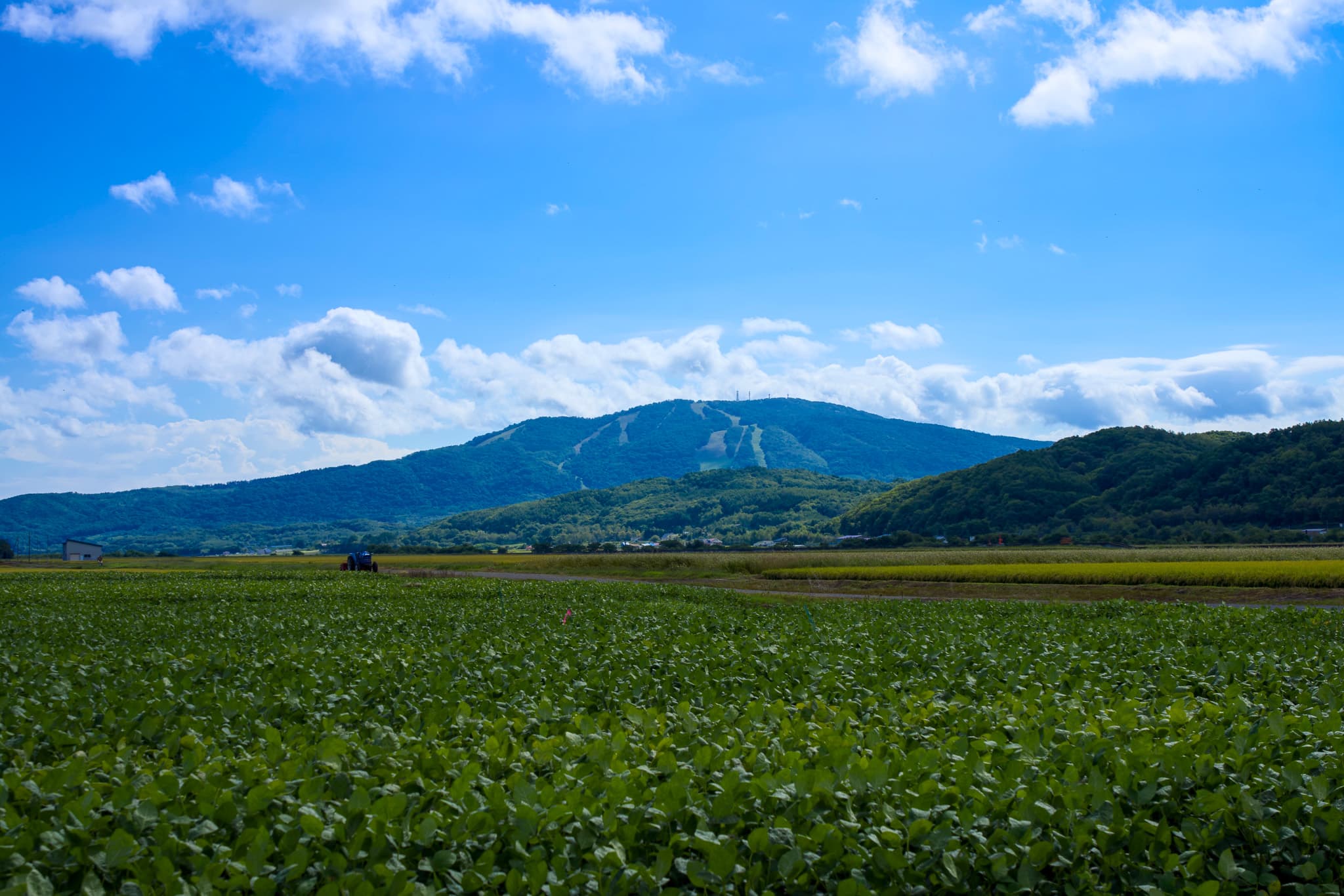 深川の大地と、後方に望むカムイスキー場 - 風景