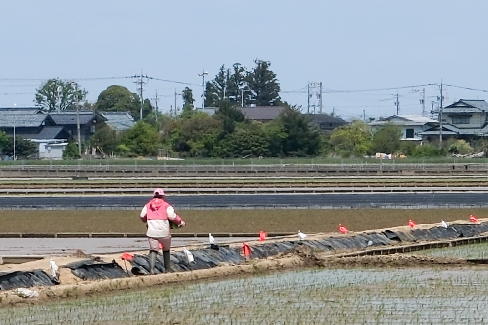 田植えは、実りへの第一歩です - 農作業