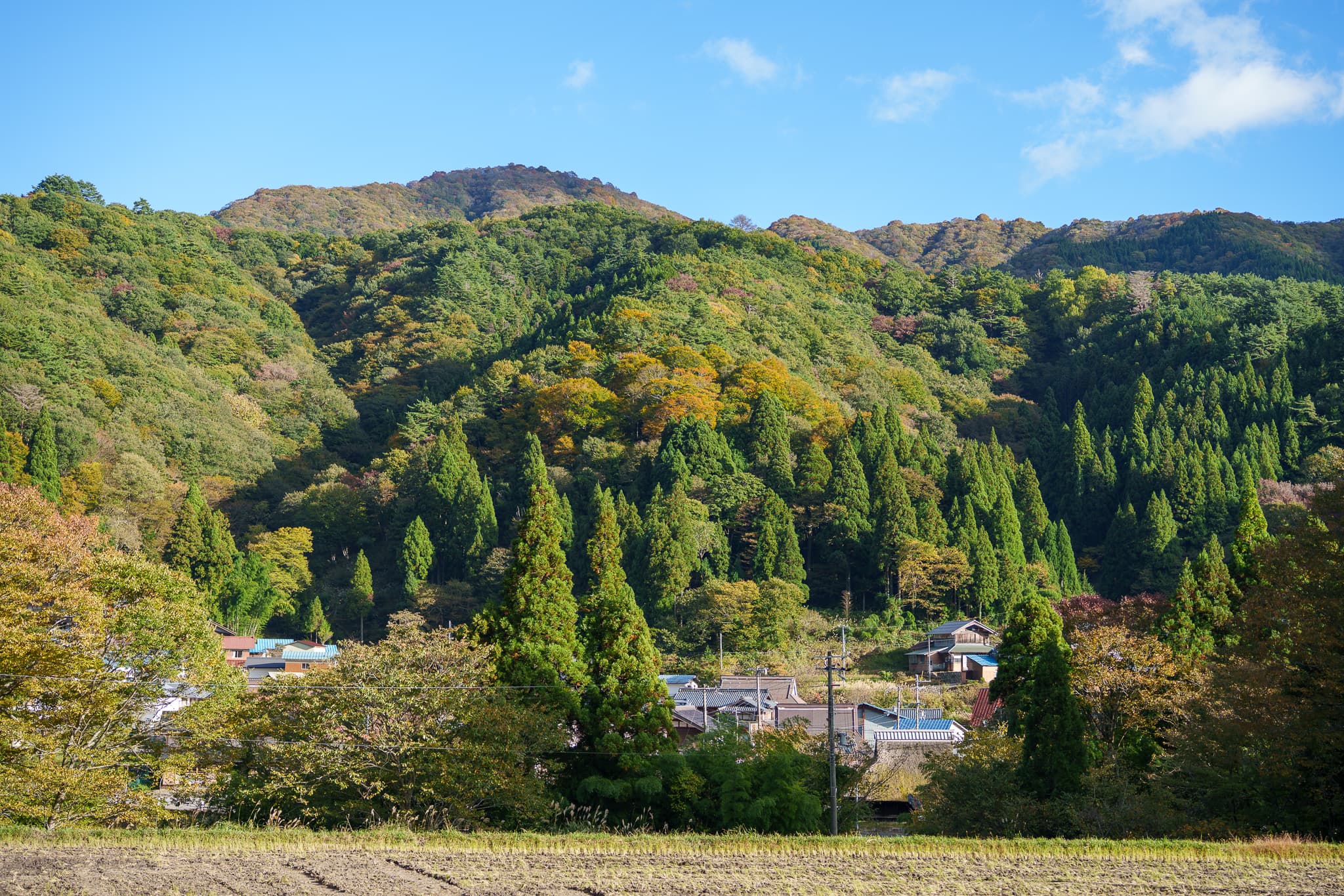 天窓から差し込む光が彩る、奥伊吹のひととき - 風景