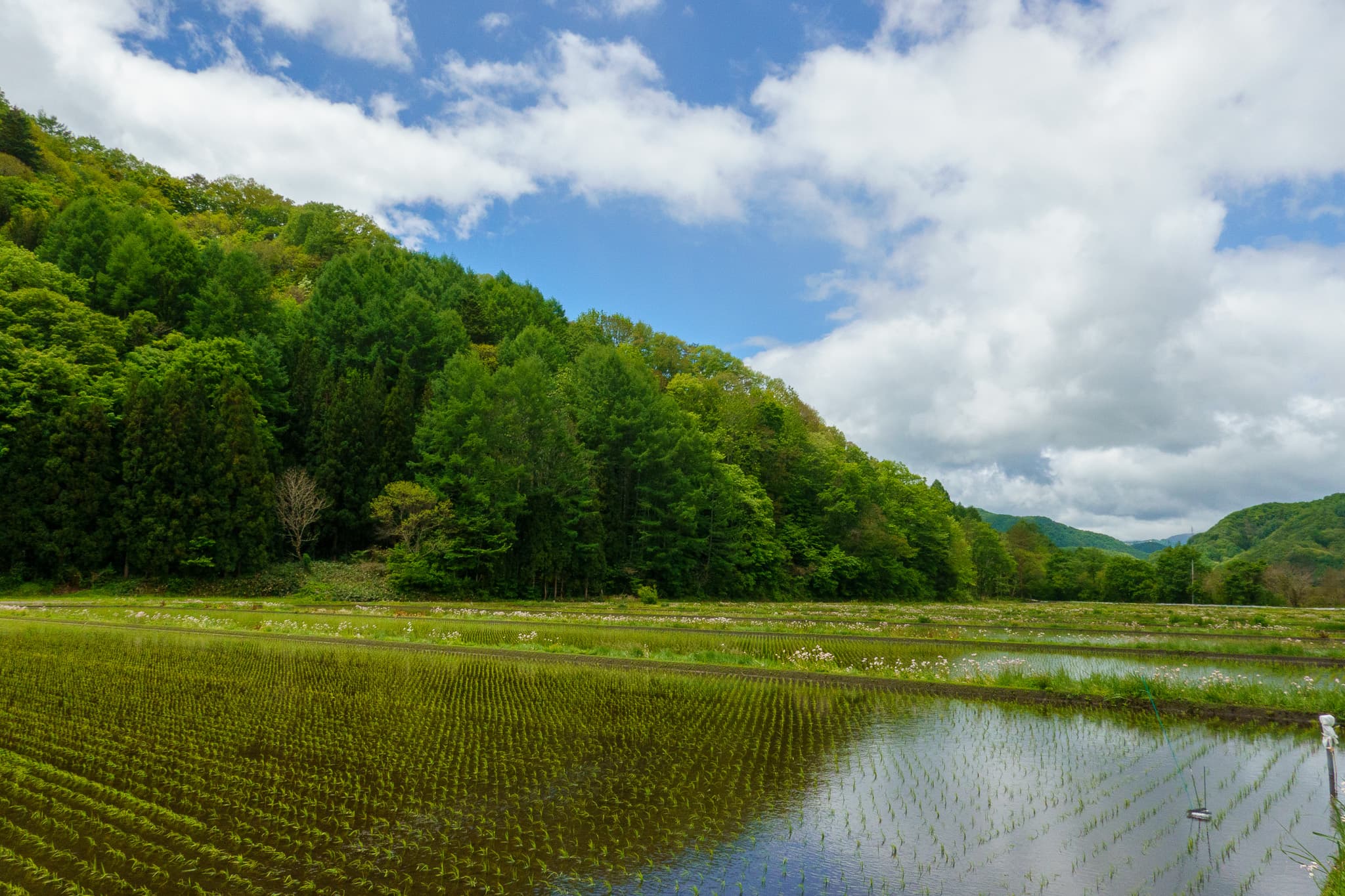 山々に抱かれた、南会津の穏やかな景色 - 風景