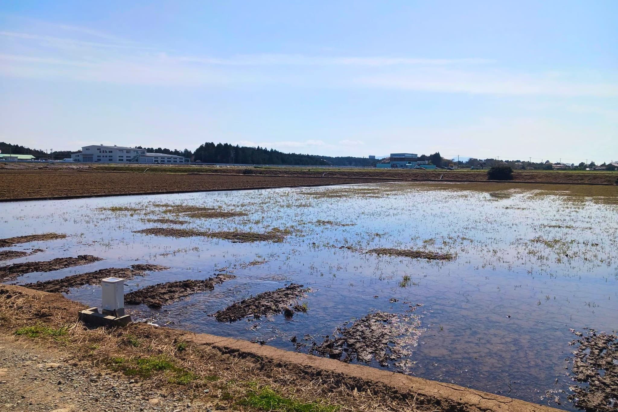 坂井平野に広がる農地が、福井の豊かな実りを育む - 風景