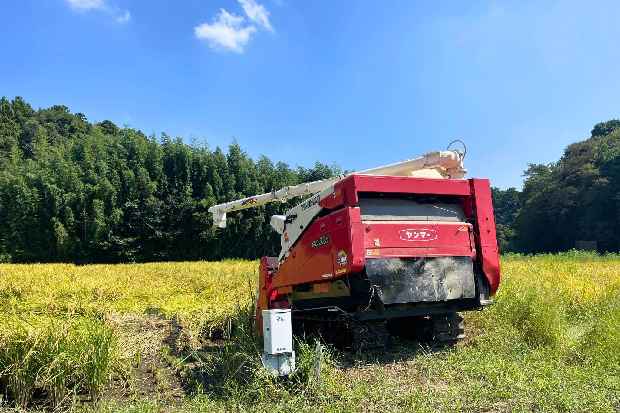 実りの秋を迎え、いよいよ稲刈りです - 農作業