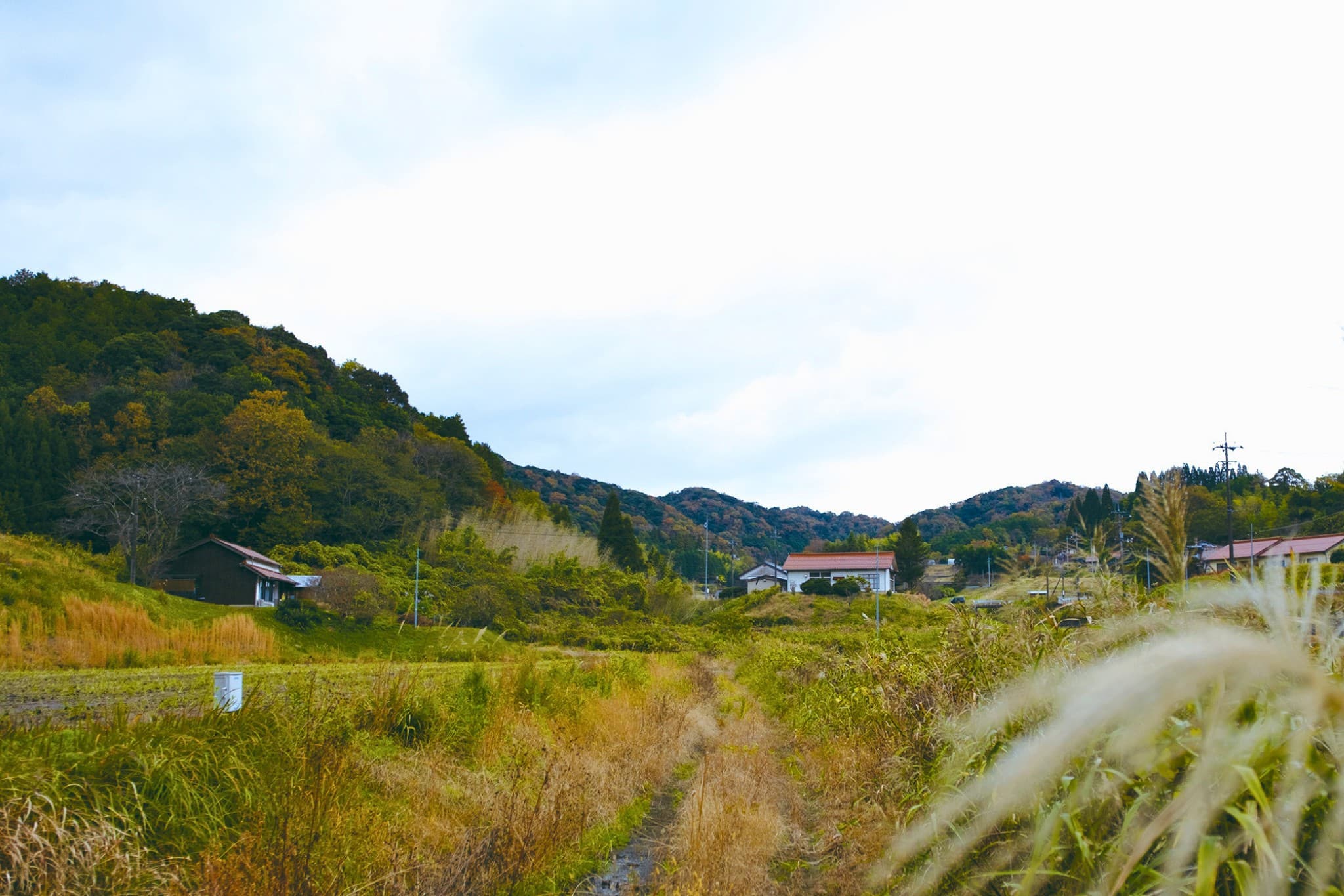 自然とともに営まれる、大田市三瓶エリアの農業 - 風景