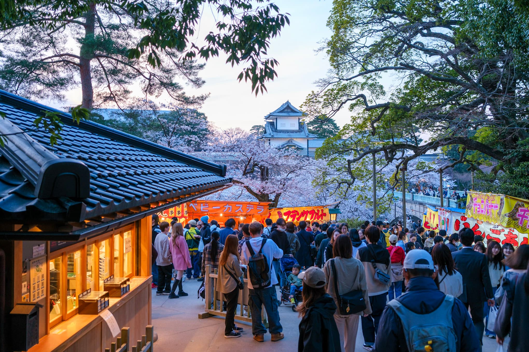 屋台の灯りと夜桜が彩る、兼六園の春の夜 - 街並み