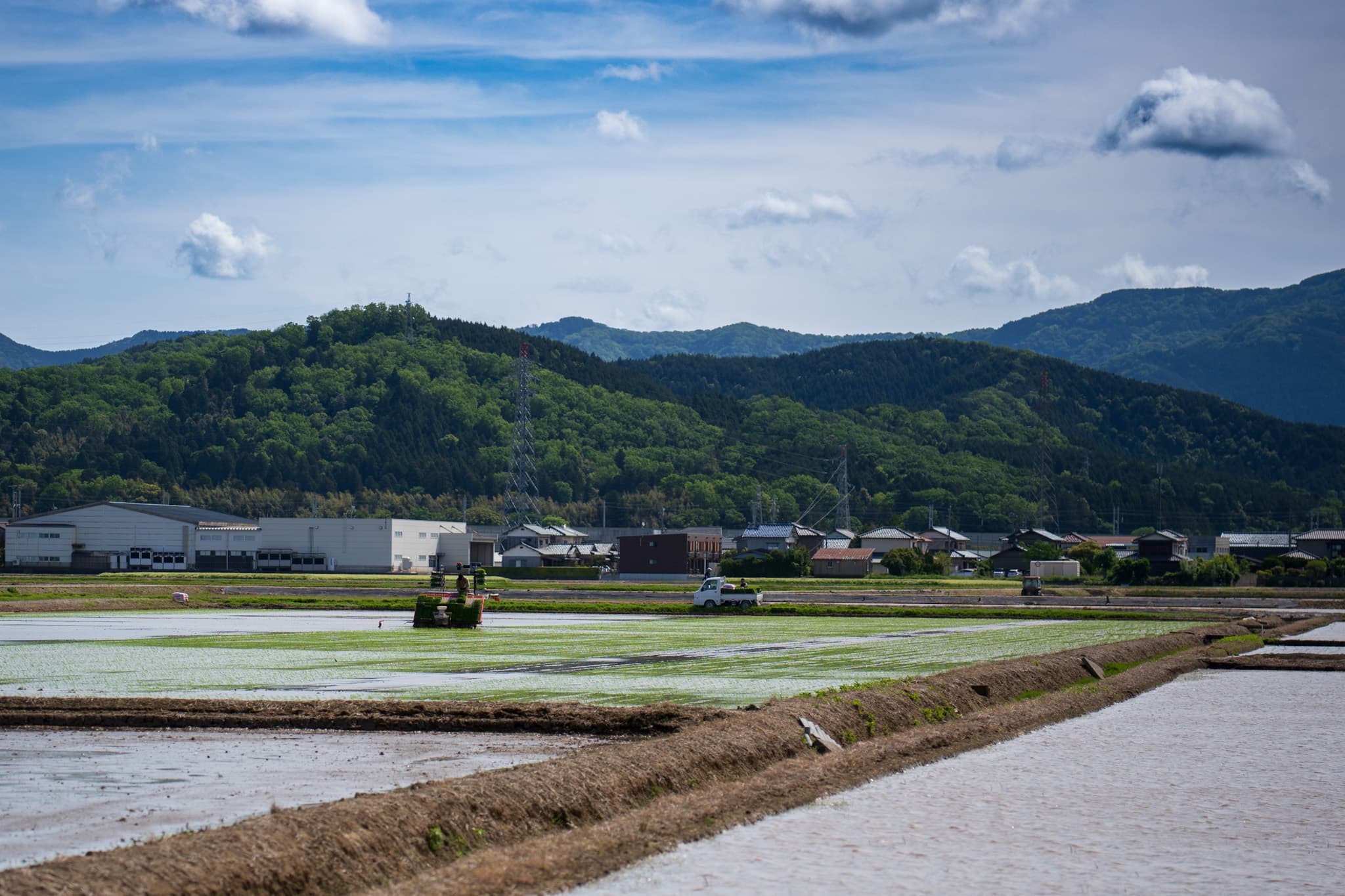 里山の風景の中で、田植え作業が着々と進む - 農作業