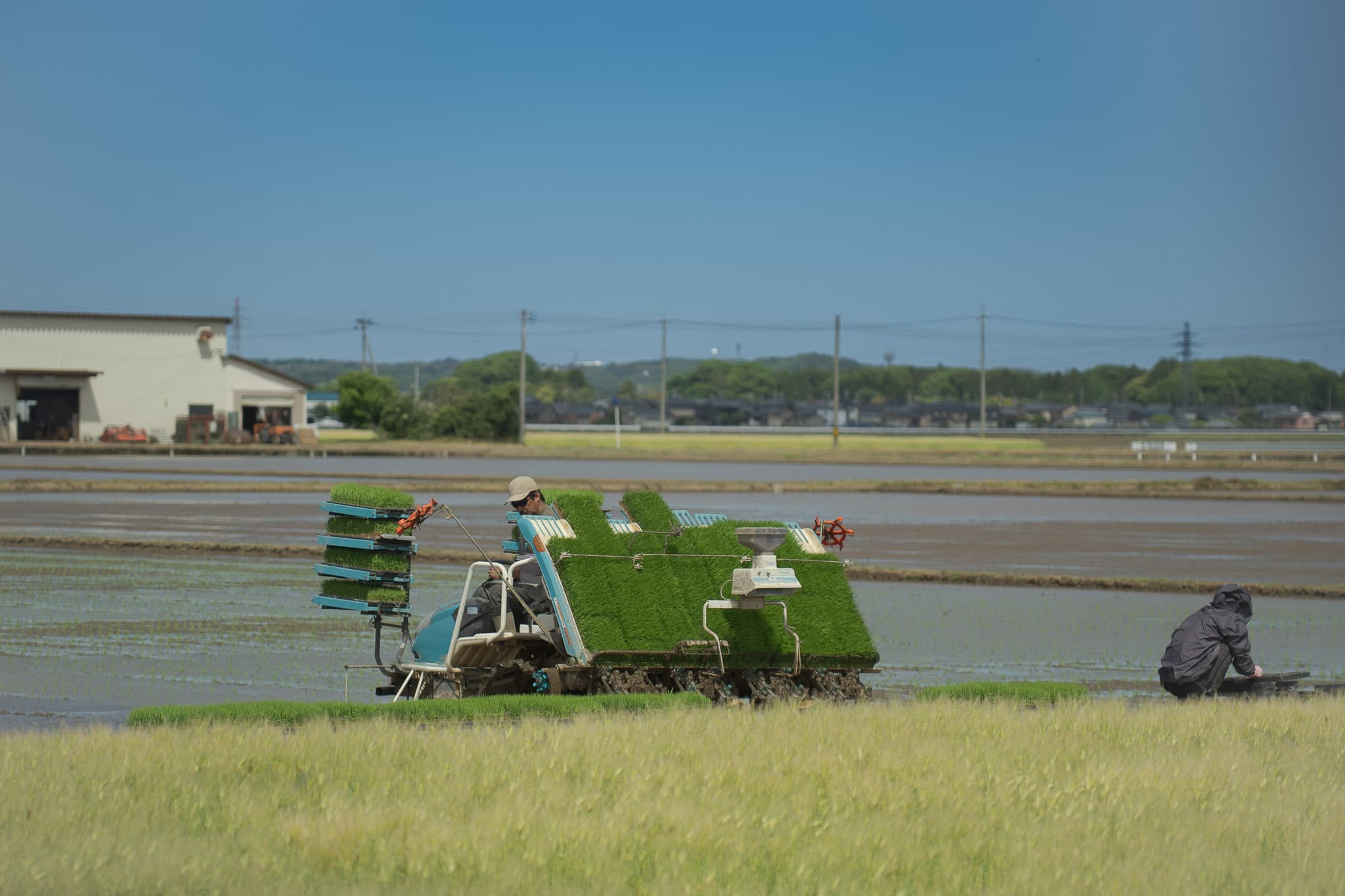 田植機と手作業で進む、丁寧な田植えの現場 - 農作業