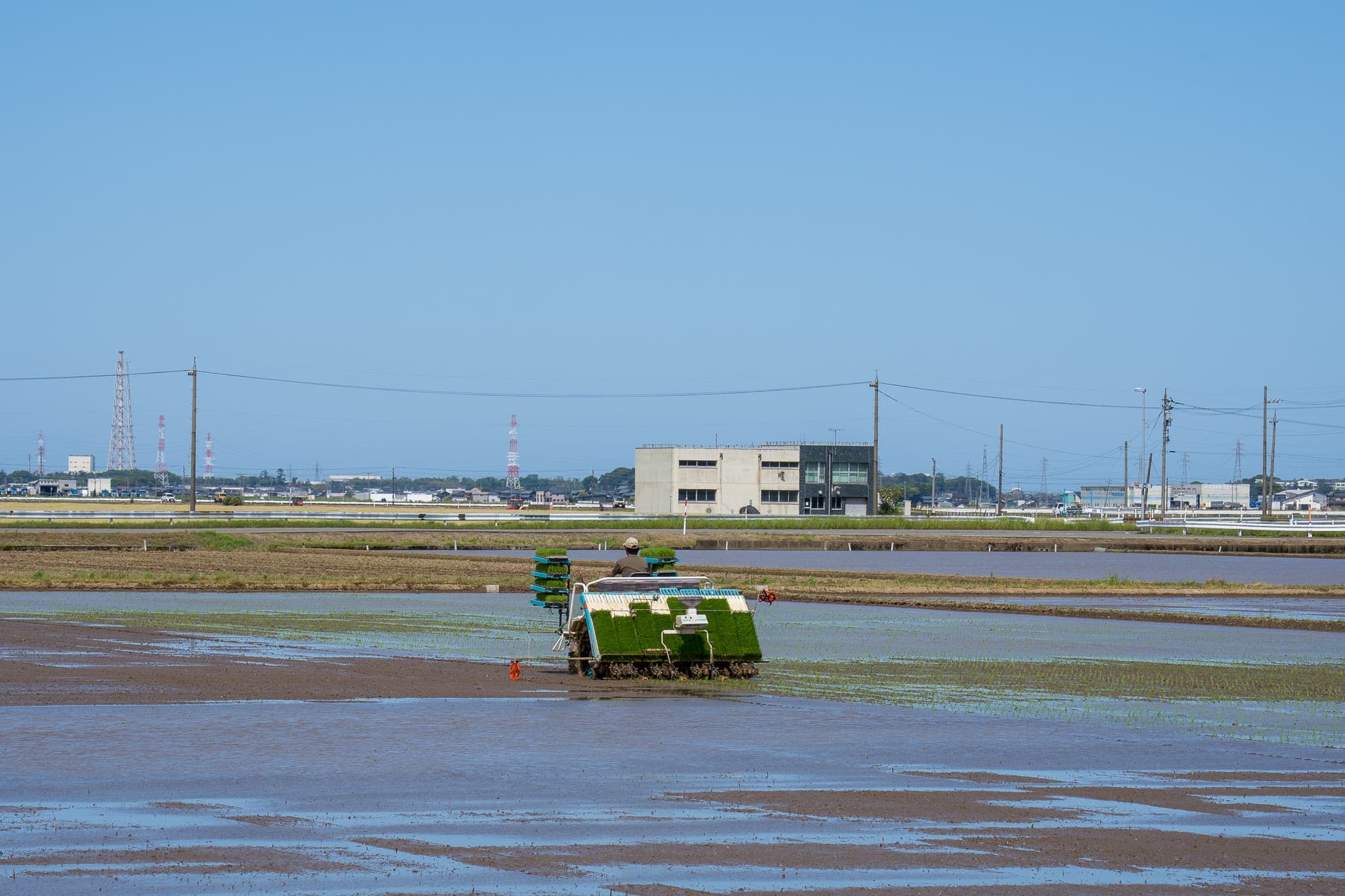 青空の下、田植機がまっすぐ水田を走る - 農作業