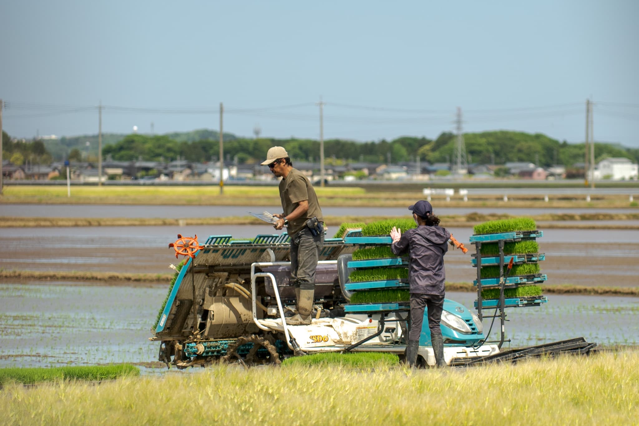 田植機を囲み、息を合わせて田植え作業を進める - 農作業