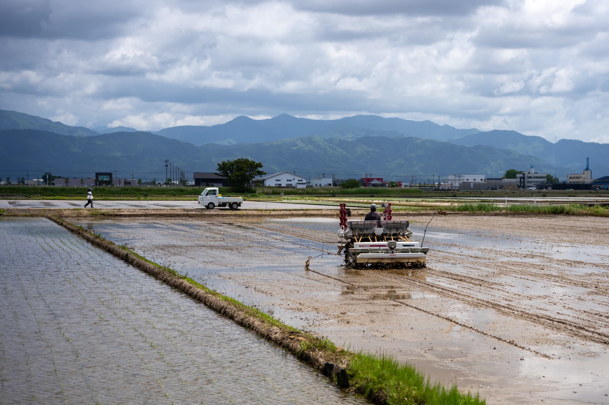 山並みを望む里山の田んぼで、田植えの季節を迎える - 農作業