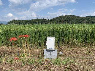 愛知県新城市