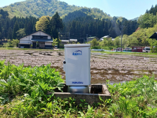 福井県南条郡