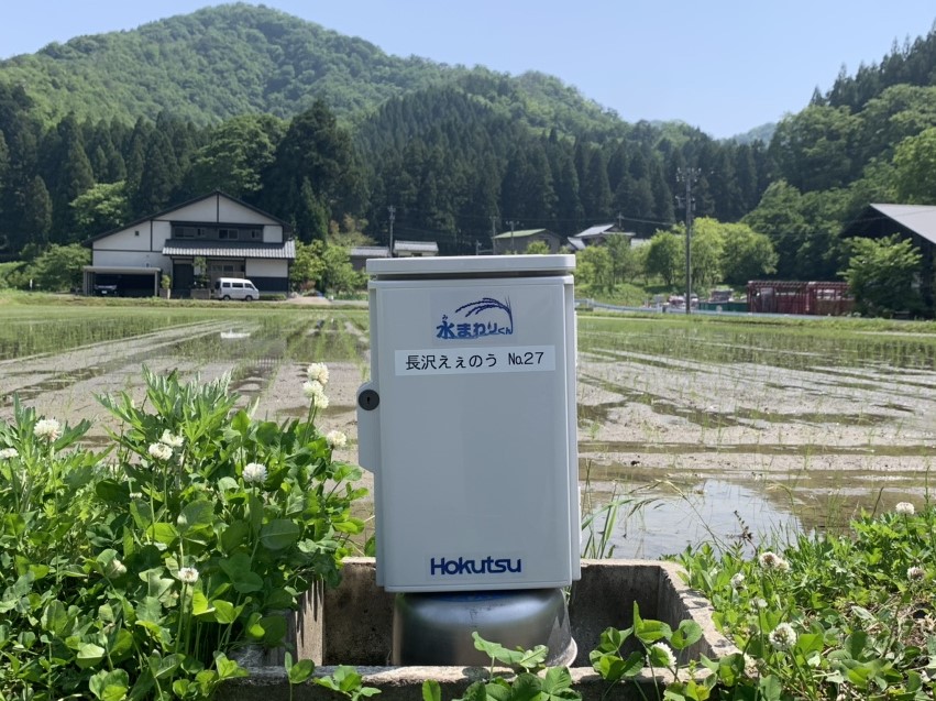 福井県南条郡
