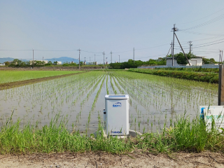 滋賀県東近江市